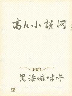 高h小说网产乳