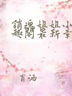 销魂姐姐小说笔趣阁最新章节