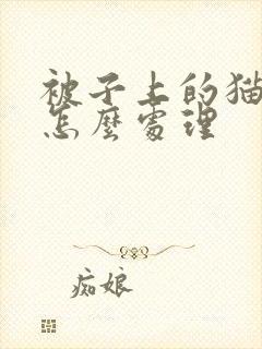 被子上的猫尿味怎么处理