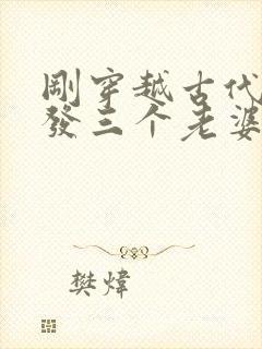 刚穿越古代官府发三个老婆的小说