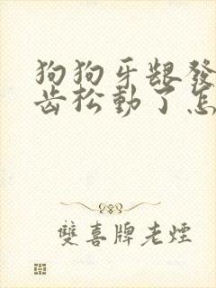 狗狗牙龈发炎牙齿松动了怎么办