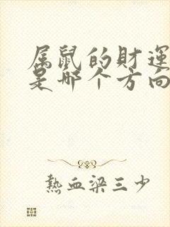 属鼠的财运方位是哪个方向