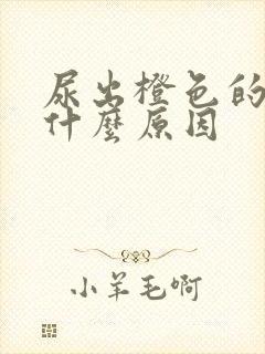 尿出橙色的尿是什么原因