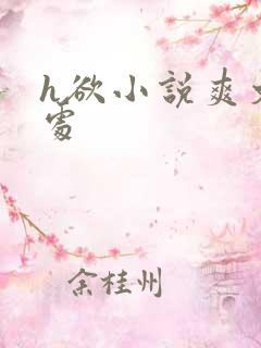 h欲小说爽文破处