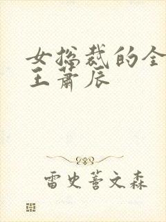 女总裁的全能兵王萧辰