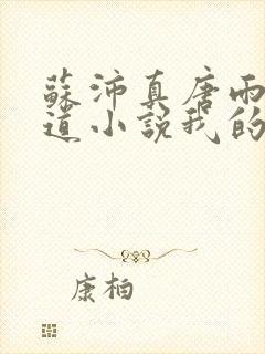 苏沛真唐雨菲林道小说我的岳母