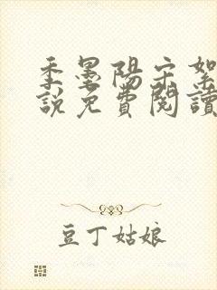 季墨阳宋絮晚小说免费阅读全文最新章节