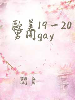 欧美19一20男同gay