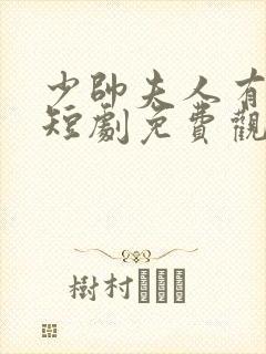 少帅夫人有点野短剧免费观看全集