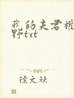 我的夫君权倾朝野txt