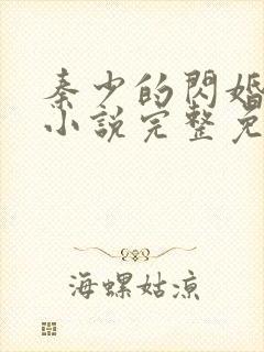 秦少的闪婚娇妻小说完整免费