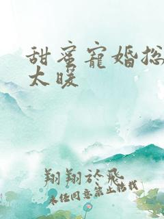 甜蜜宠婚总裁别太暖