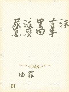 尿液里有沫子是怎么回事