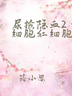 尿检隐血2 白细胞红细胞高