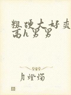 粗硬大好爽啪啪高h男男