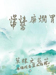 慢性糜烂胃炎 中医