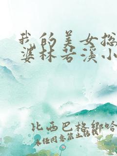 我的美女总裁老婆林若溪小混混