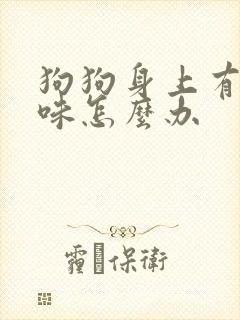 狗狗身上有尿骚味怎么办