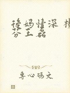 后妈情深 杨晓芬王磊