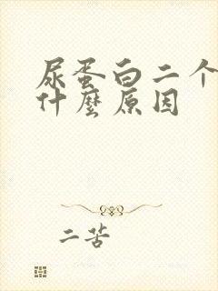 尿蛋白二个加号什么原因