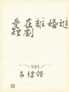 爱在离婚进行时短剧