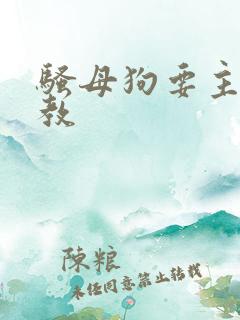 骚母狗要主人调教