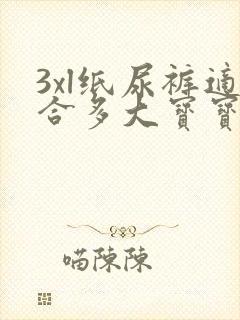 3xl纸尿裤适合多大宝宝穿