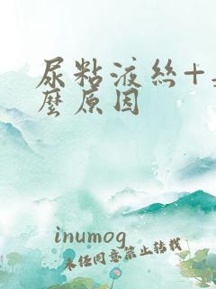 尿粘液丝+是什么原因