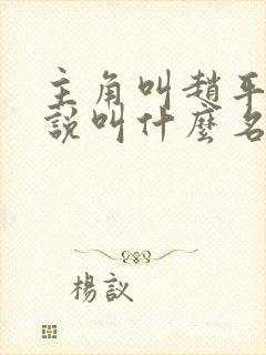 主角叫赵平的小说叫什么名字