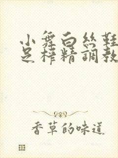 小舞白丝鞋交玉足榨精调教小说