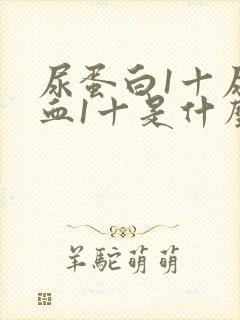 尿蛋白1十尿隐血1十是什么病