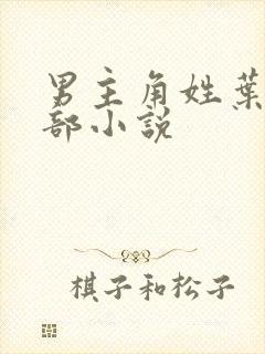 男主角姓叶的全部小说