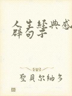 人生经典感悟精辟句子