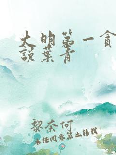 大明第一贪 小说叶青