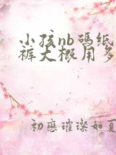 小孩nb码纸尿裤大概用多少片