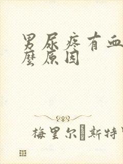 男尿疼有血是什么原因