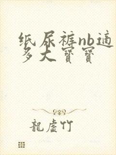 纸尿裤nb适合多大宝宝