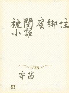 被闺蜜绑住调教小说