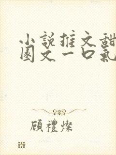 小说推文甜文校园文一口气看完