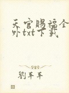 天官赐福全本番外txt下载
