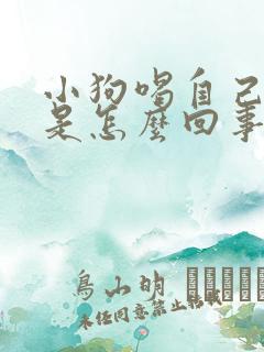 小狗喝自己的尿是怎么回事