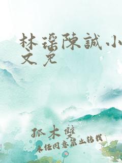 林瑶陈诚小说全文免