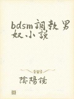 bdsm调教男奴小说