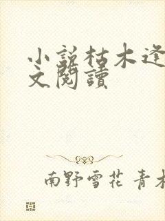 小说枯木逢春全文阅读