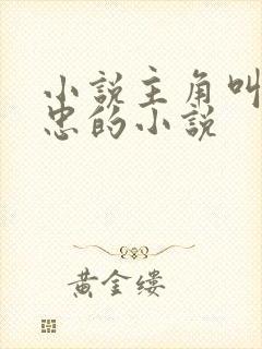 小说主角叫江建忠的小说