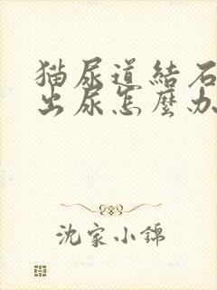 猫尿道结石排不出尿怎么办?