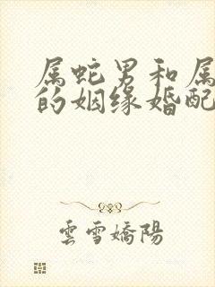 属蛇男和属兔女的姻缘婚配