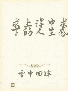 求上得中求中得下的人生感悟