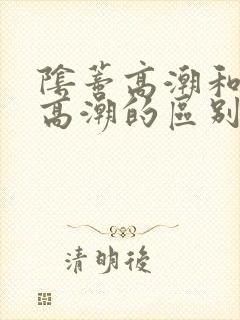 阴蒂高潮和阴道高潮的区别