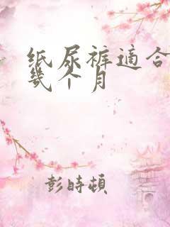 纸尿裤适合穿到几个月